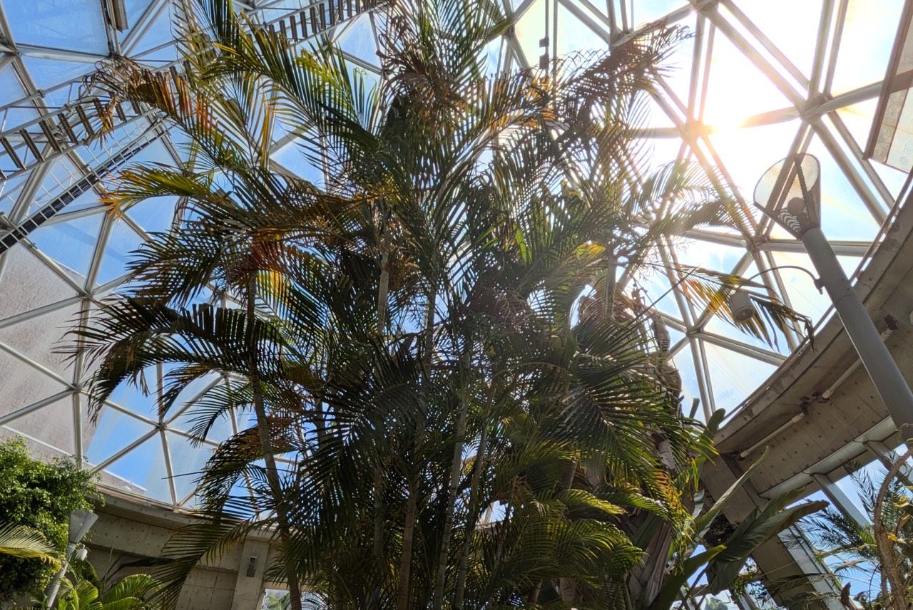 展示温室の写真